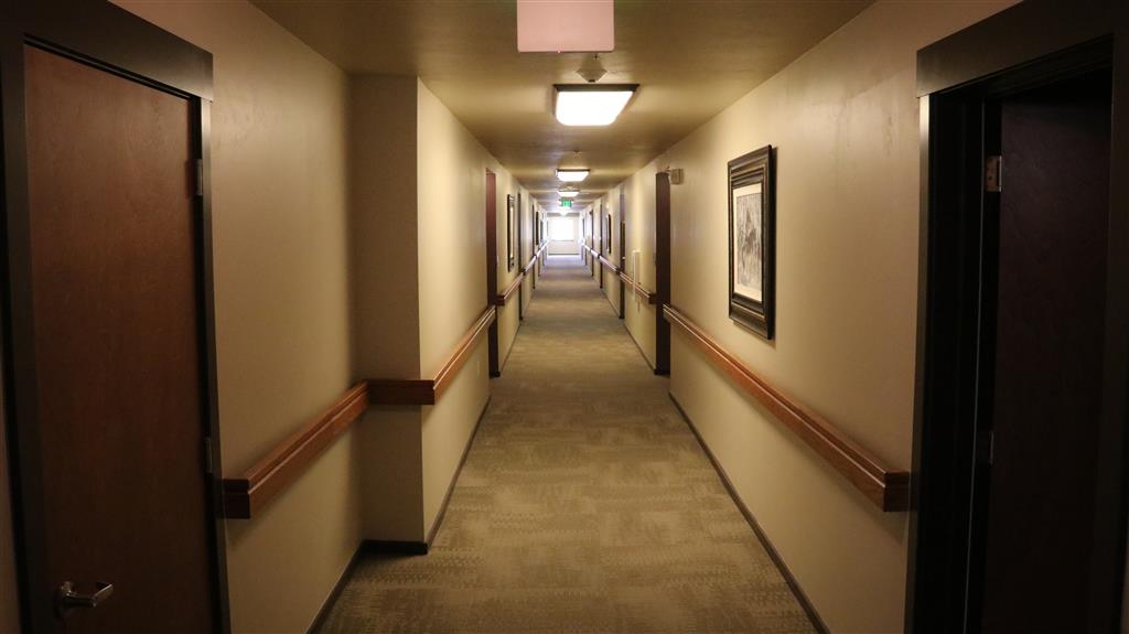 Gallery Photo 35